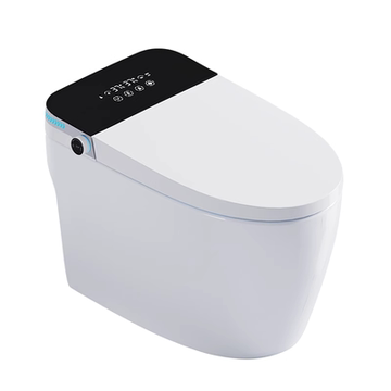智能坐便器(图1)